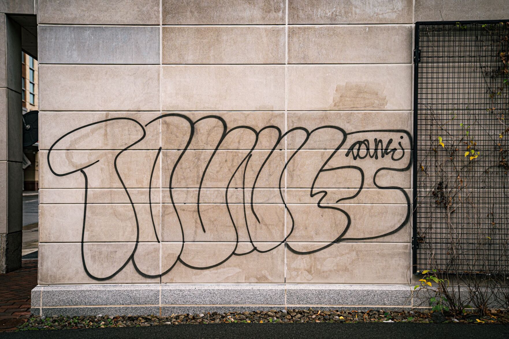 1118_NL_Graffiti_CM-3.jpg